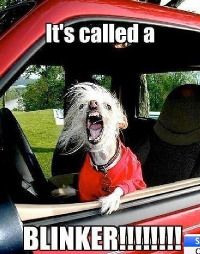 Rude driving behaviors rampant on roads says Survey